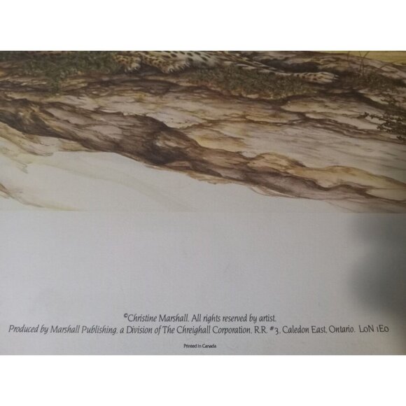 Unframed Limited Edition Cheetah Desert Landscape Print by Artist Marshall - Picture 2 of 4
